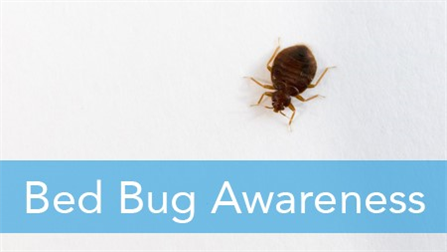 E2L: Bed Bug Awareness (English/Spanish) – Edge2Learn On-Demand Training